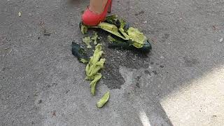 Mari G Crushing Cubers Ii