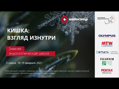 Зимний Endocamp 2020-2021.Третья смена "Кишка: взгляд изнутри" (День 1)