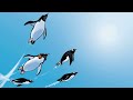 【Music】Jet Penguin -2026- / Noiseless World