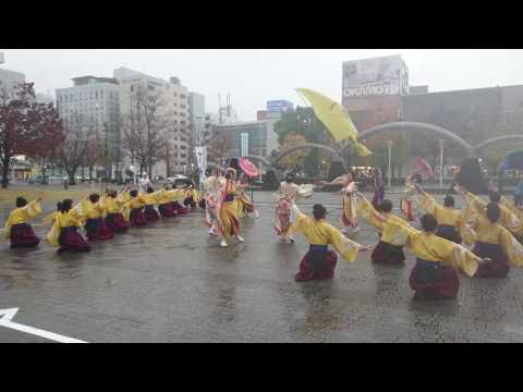 2016/11/27 四日市よさこいやったろ舞 志舞  市民公園会場