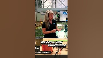 Unveiling the Future You Never Imagined! Built by Robots