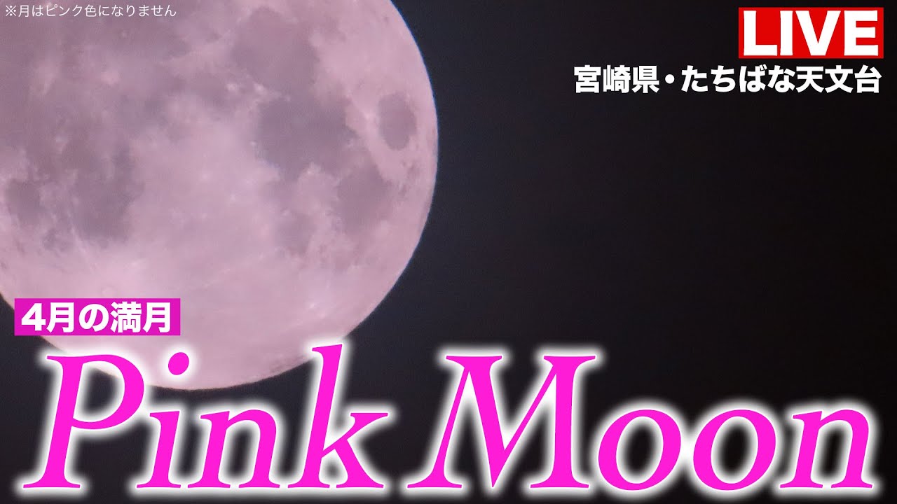 ライブ】満月ライブカメラ 今月は「ピンクムーン」＆今年最も遠い満月