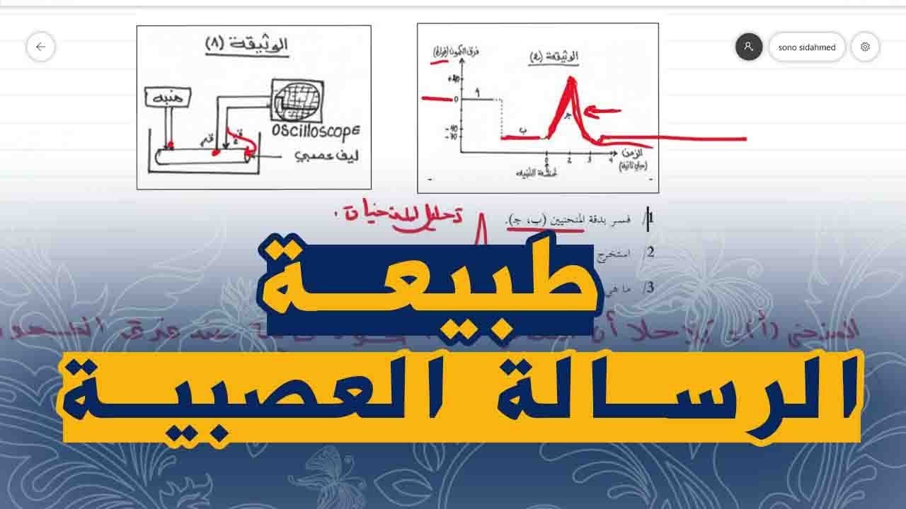 علوم طبيعية السنة الرابعة متوسط تمرين على طبيعة الرسالة العصبية و الليف العصبي