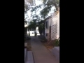 Jesse neighbor threat