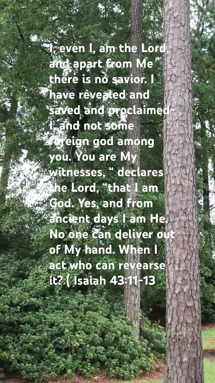 ISAIAH 43 11 13 gospel gospelmusic jesus love bibleverse ISAIAH 43 11 13 gospel gospelmusic jesus love bibleverse