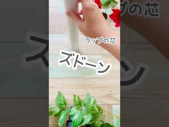 クリスマスツリー