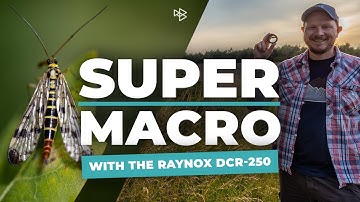 Raynox DCR-250 - Super Macro Photography