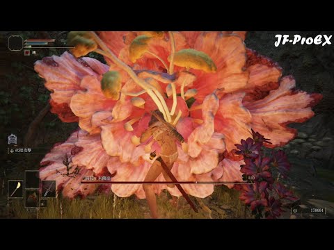 【JF】Elden Ring 艾爾登法環 無傷影片-(30)「病花」米蘭達 (直劍+5&火把&火焰壺/Lv 1/一貧如洗/裸裝)