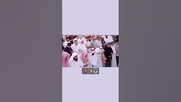 القارئ الياس حجري