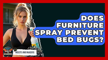 Does Furniture Spray Prevent Bed Bugs? - Insects and Invaders