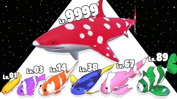 Evolution Merge Fish - Level Up Fish Max Level Gameplay