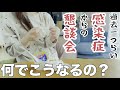 最悪のタイミング…病み上がりでの懇談会参加【7日間の記録】