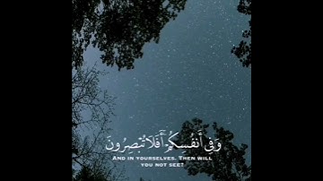 وَفِي أَنفُسِكُمْ ۚ أَفَلَا تُبْصِرُونَ (21) سورة الذاريات