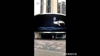 3D animation with shark and whale