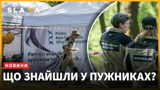 Волинська трагедія: тема ексгумації стала популярною з політичних причин