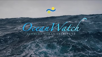 Ocean Watch | A Story of Deep Sea Exploration
