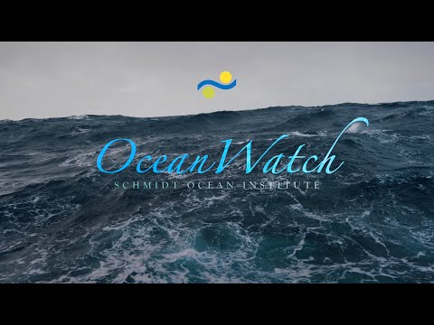 Ocean Watch A Story Of Deep Sea Exploration