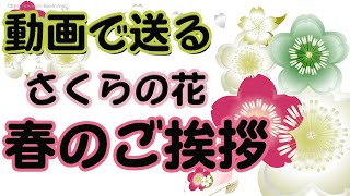 動画で送る３月のご挨拶・桜の花に扇や孔雀のイラストとはらはら舞う桜の花びらのアニメーション動画のグリーティングカードです。フリー素材ではありません、URLをコピーしてご利用ください。