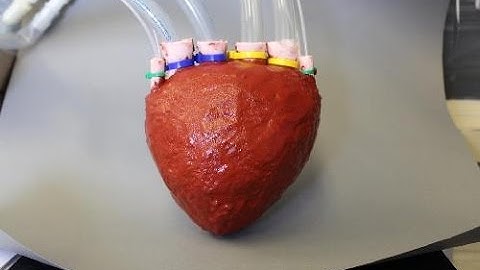 Cornell University has developed an artificial heart