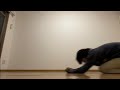 さようなら。今までありがとうpt.2