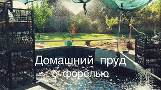 видео: Улучшили фильтрацию воды в домашнем пруду. картинка: Улучшили фильтрацию воды в домашнем пруду.