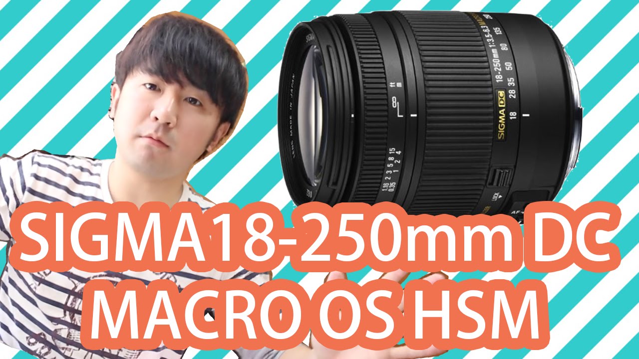 SIGMA 18-250mm F3.5-6.3 DC OS HSM ニコン用