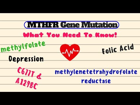 MTHFR جین میوٹیشن - آپ کو کیا جاننے کی ضرورت ہے۔