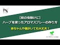 【蚊の虫除けに】ハーブを使ったアロマスプレーの作り方！赤ちゃんや猫がいても大丈夫？