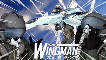 PROJECT WINGMAN - AOA ACTIVE