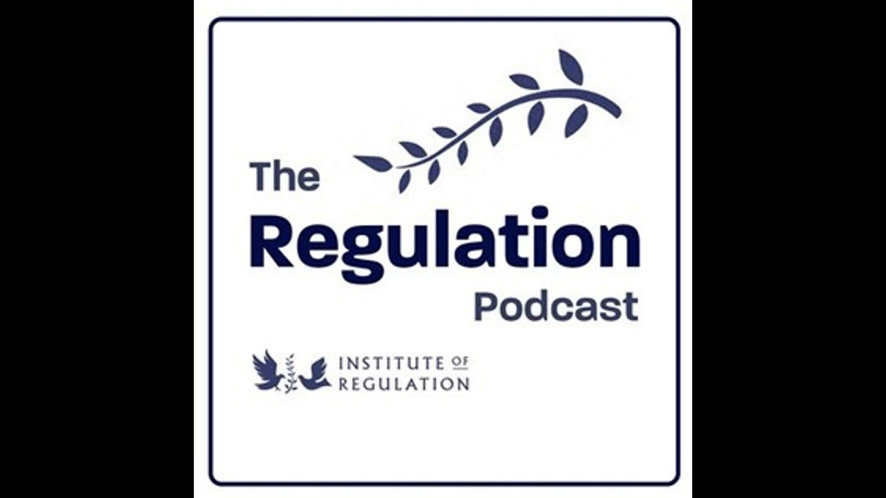 Episode 13: Fundamentals of Regulation with Professor Martin Lodge