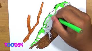 How to Color Iguana On A Branch Of Tree Coloring Page