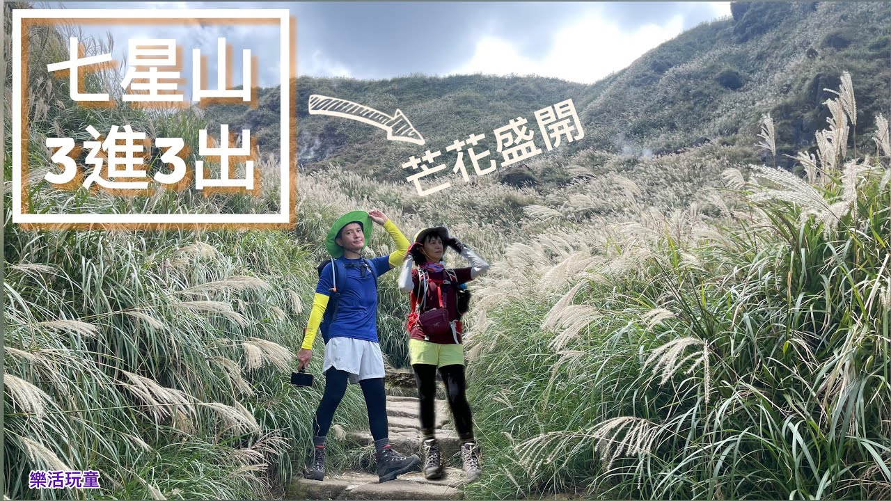 七星山3進3出｜苗圃登山口｜冷水坑｜小油坑［樂活玩童NO.109]2023/10/19