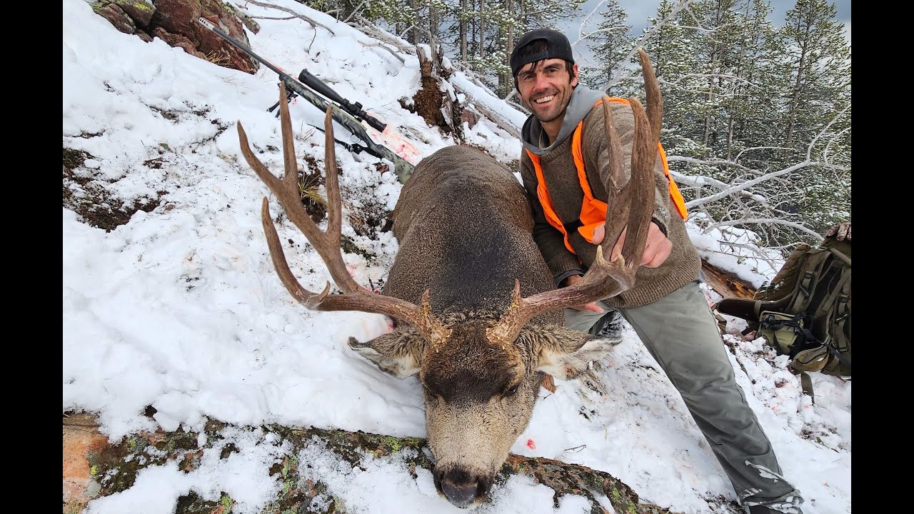 GIANT MONTANA PUBLIC LAND MULE DEER 2023 YouTube