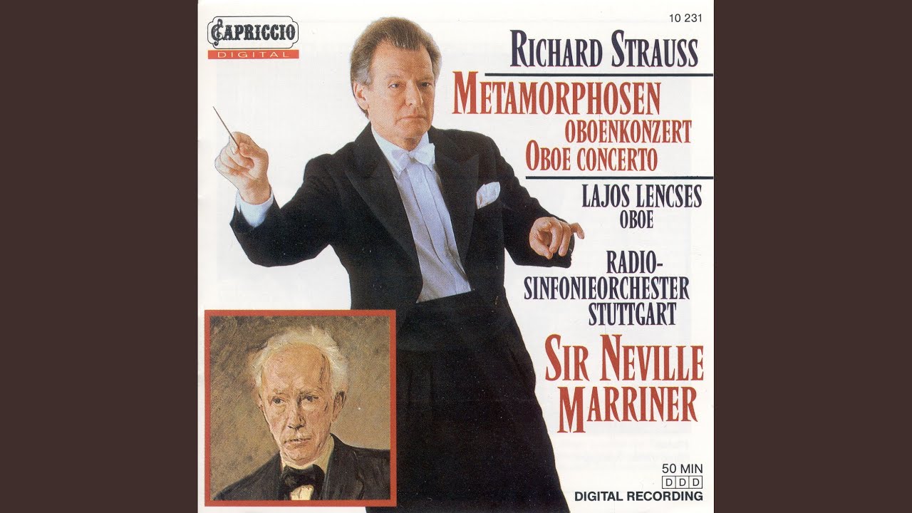 Oboe Concerto in D Major: I. Allegro moderato