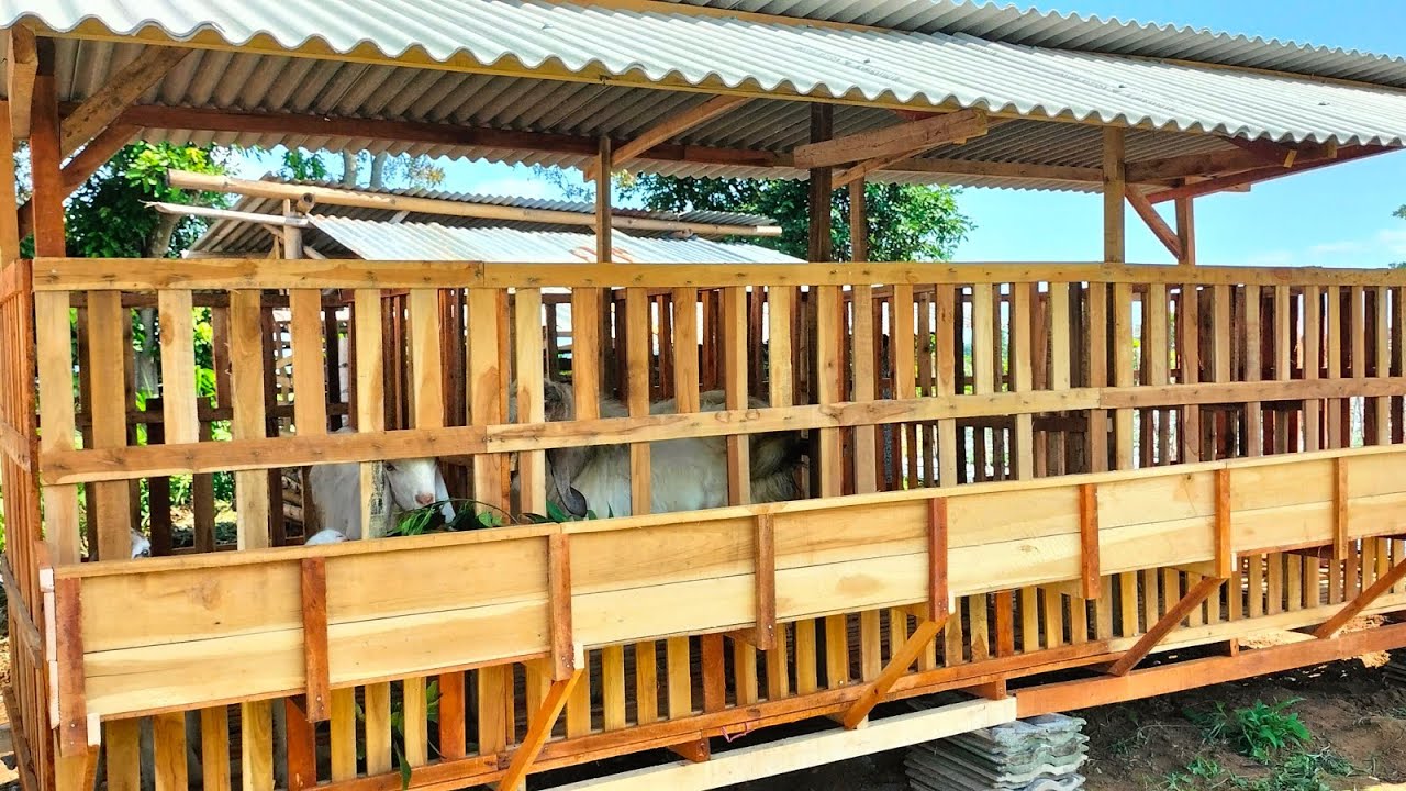 Cara Buat Kandang Kambing (SEHATI FARM)
