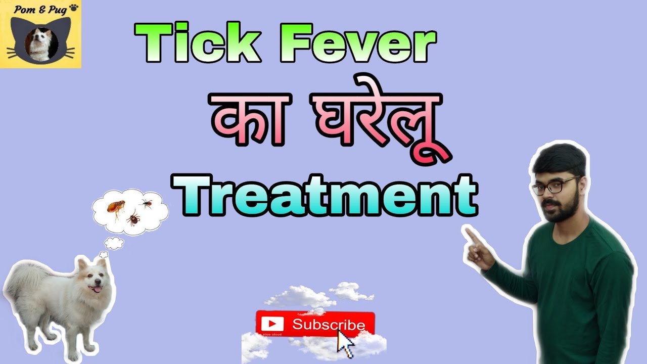 Tick fever in dogs & their solution / 100 effective treatment at home