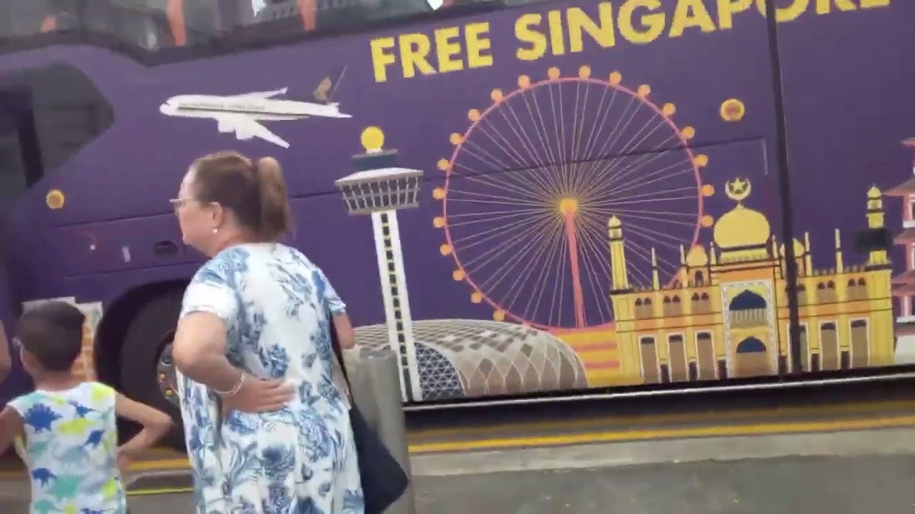 Leisure Frontier Free Singapore Tour Bus, PC8207M