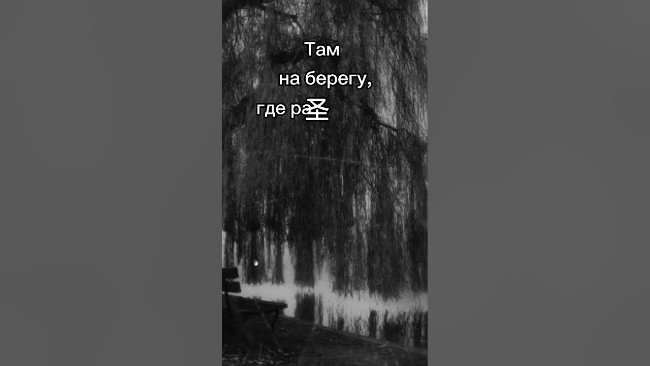 Юрий Николаенко NЮ #vesna305 #nю #юрийниколаенко #николаенкоюрий #numusic