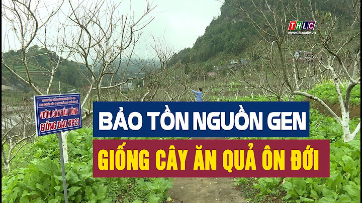 Các bước mô tả đánh giá nguồn gen