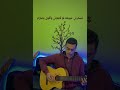قالوا عليكي محمد سعيد جيتار محمد غنيم Guitar Cover