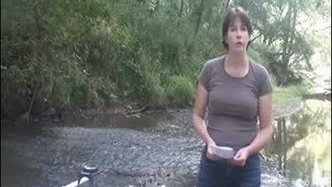 Stream Monitoring - Introduction