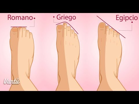 Video: Los diferentes tipos de pies que los perros tienen