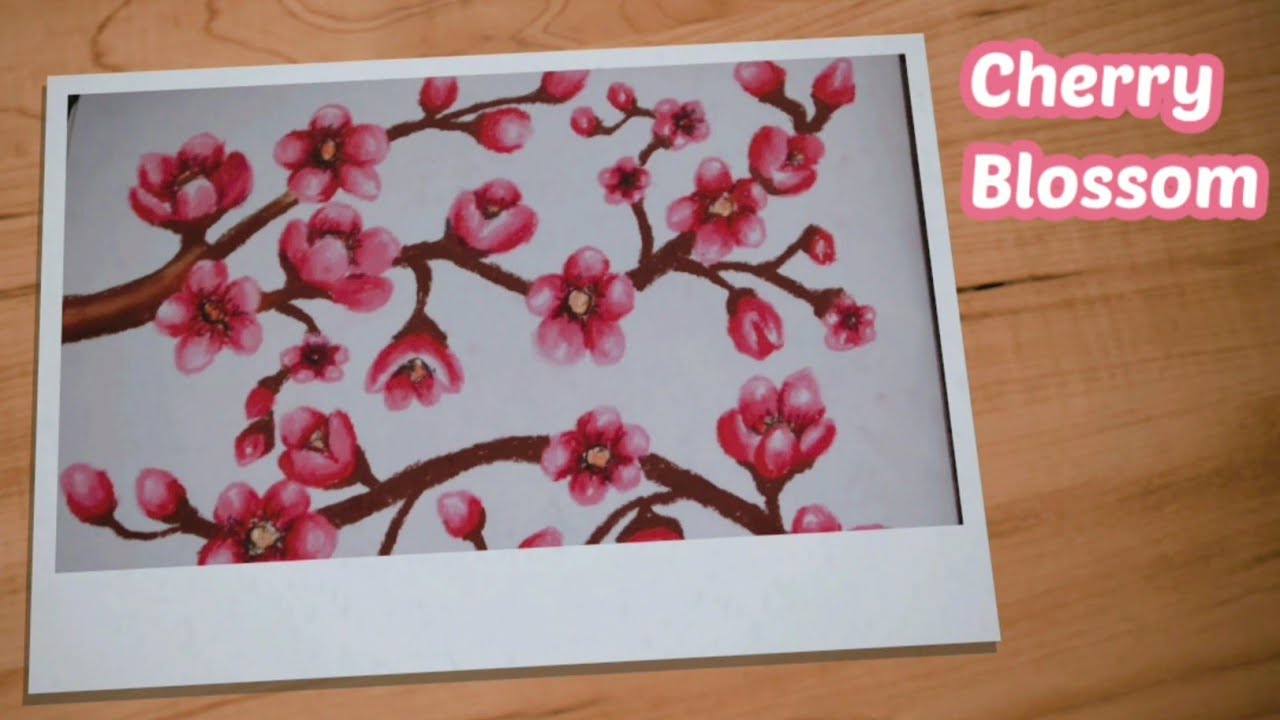 How to draw cherry blossom With oil pastel Tutorial YouTube