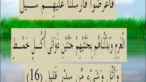 القران الكريم سورة سبأ الأية 16.wmv