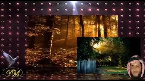 101 سورة القارعة كاملة للقارئ الشيخ هاني الرفاعي