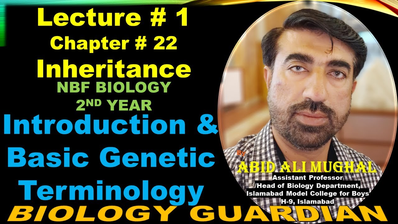 Inheritance Of Coat Color Of Labrador retriever | Lecture 15 Ch 22 NBF  Biology-12 By Abid Ali Mughal - YouTube