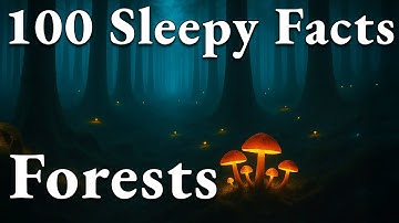 The Most Relaxing Forest Facts To Fall Asleep To
