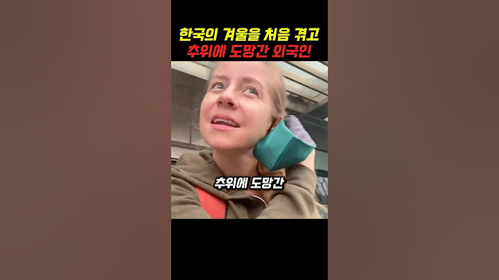한국의 겨울을 처음 겪고 추워서 도망간 외국인
