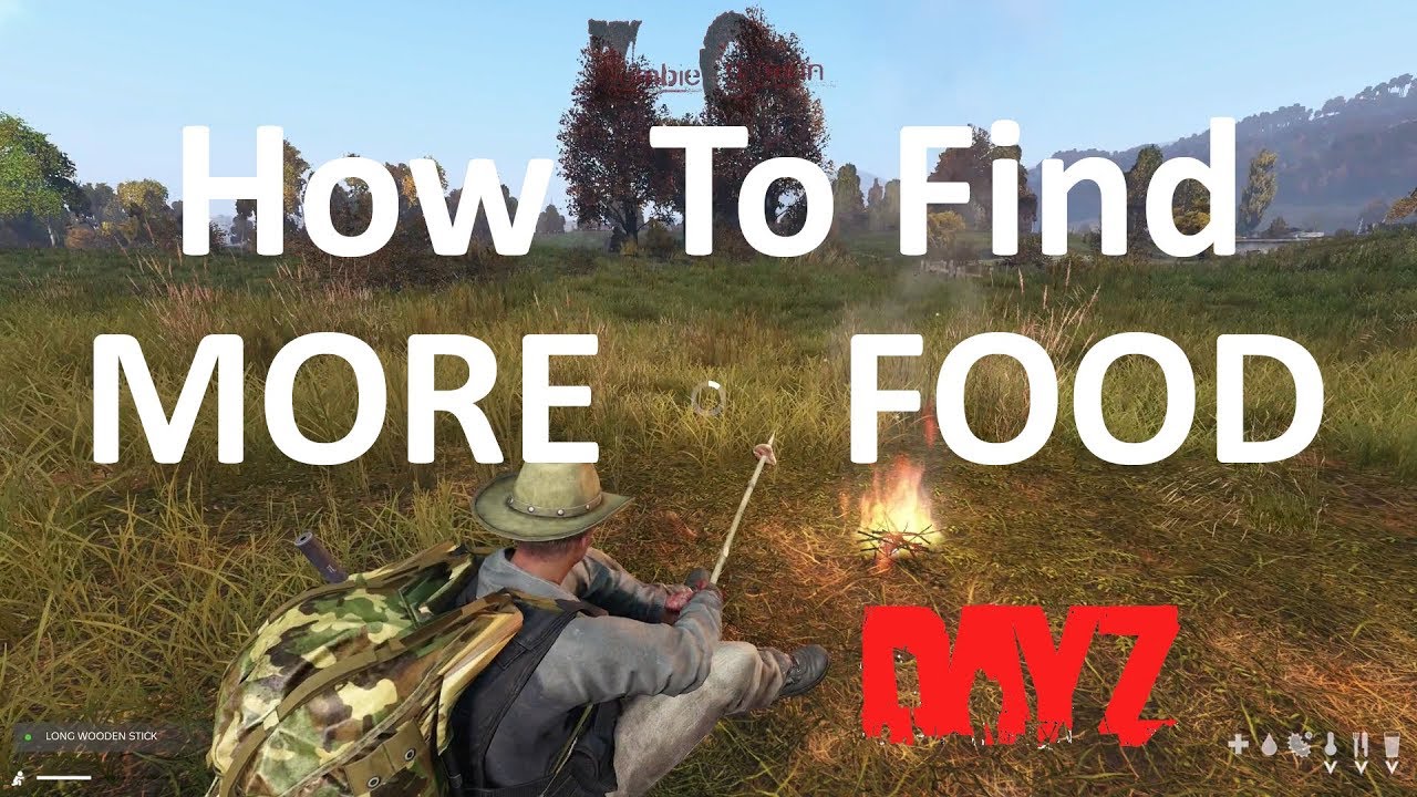help with dayz for pc food