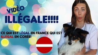 VIDEO ILLEGALE: ce qui est légal en France qui est illégal en Corée image